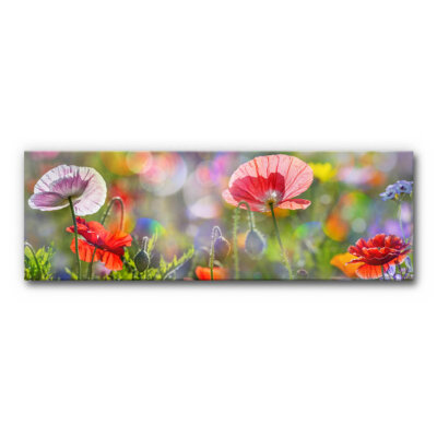Akustikbild Panorama Mohnblüten (auch als Panorama bis 400 cm)