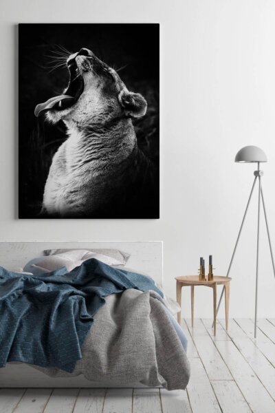 Akustikbild Brüllender Löwe 2