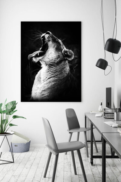 Akustikbild Brüllender Löwe 2
