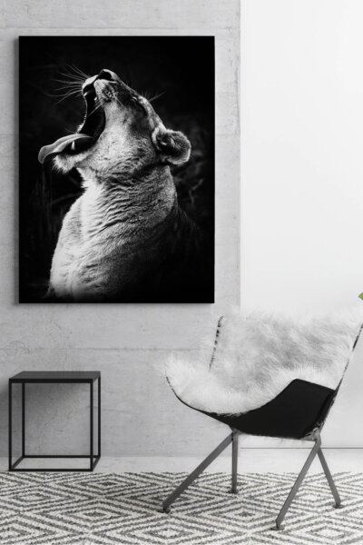 Akustikbild Brüllender Löwe 2