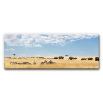Akustikbild Zebras und Elefanten