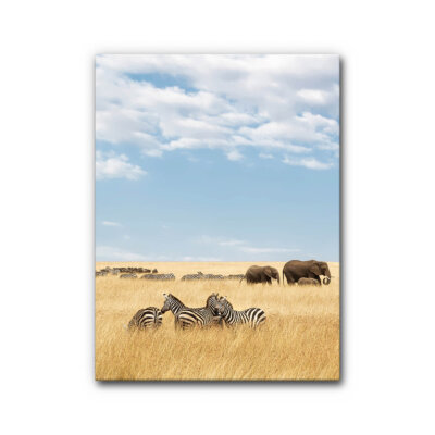 Akustikbild Zebras und Elefanten