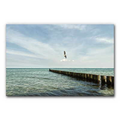Akustikbild Ostseeglück - ein Bild einer klassischer Ostsee-Buhle mit einer fliegenden Möwe.