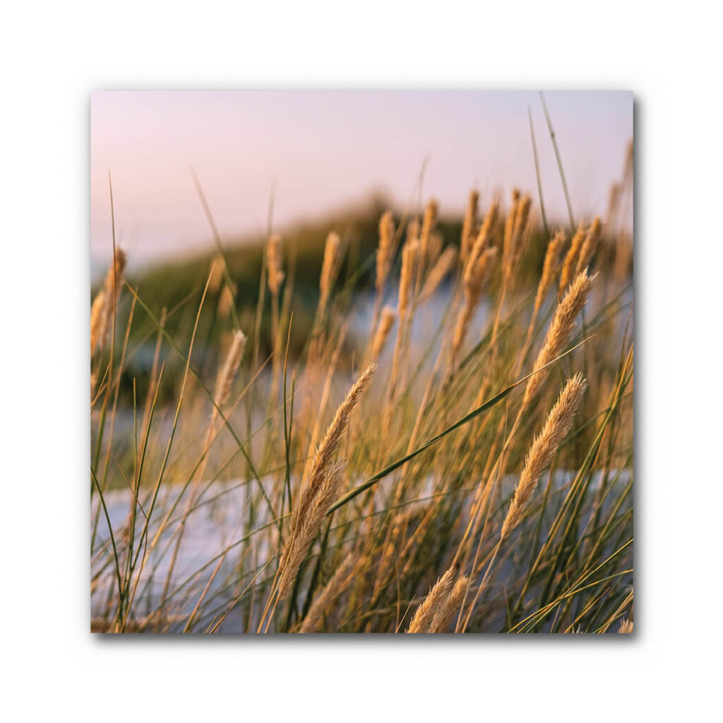 Akustikbild Gräser 3