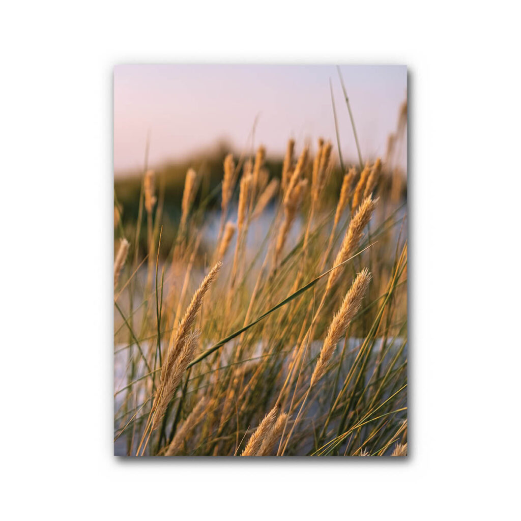 Akustikbild Gräser 3