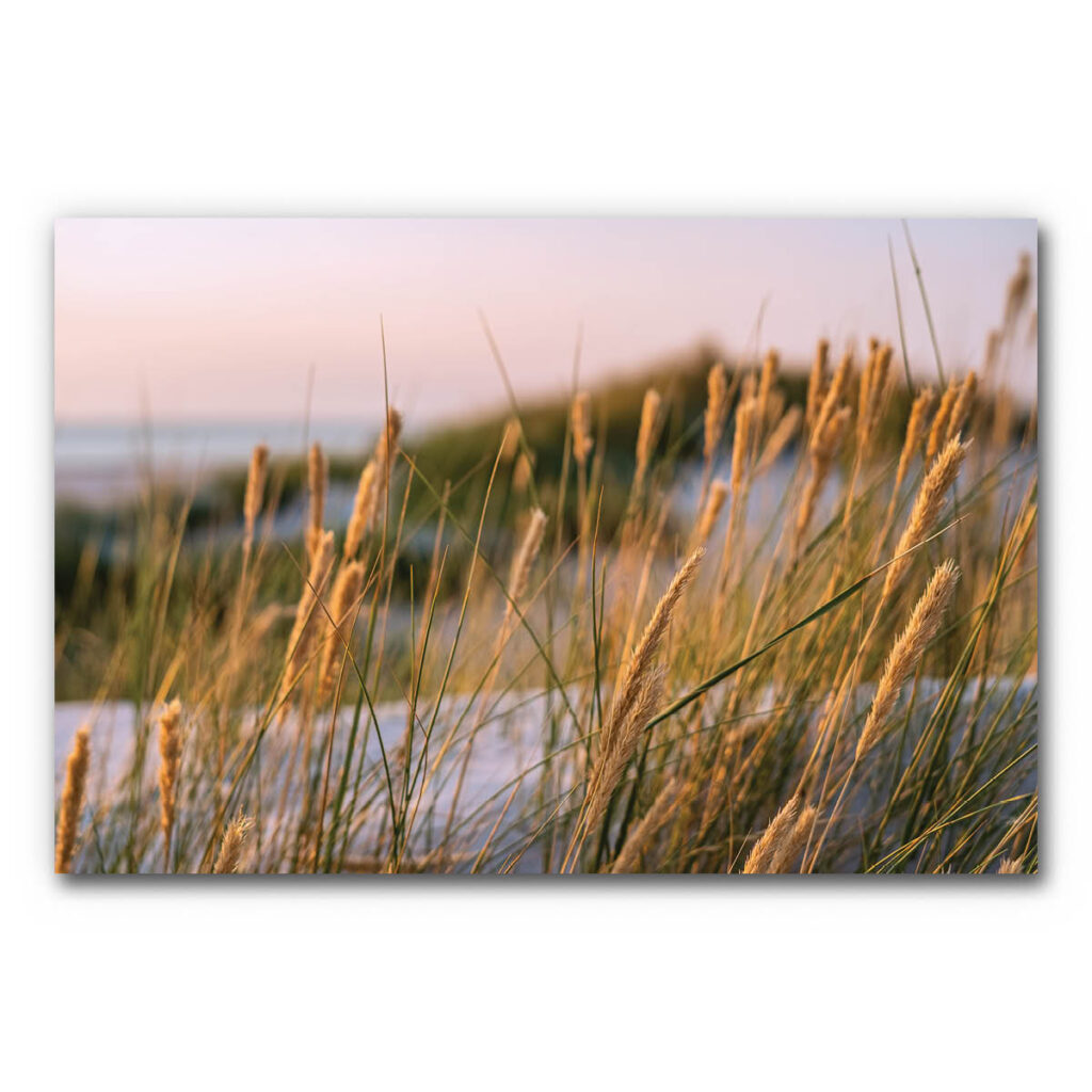 Akustikbild Gräser 3