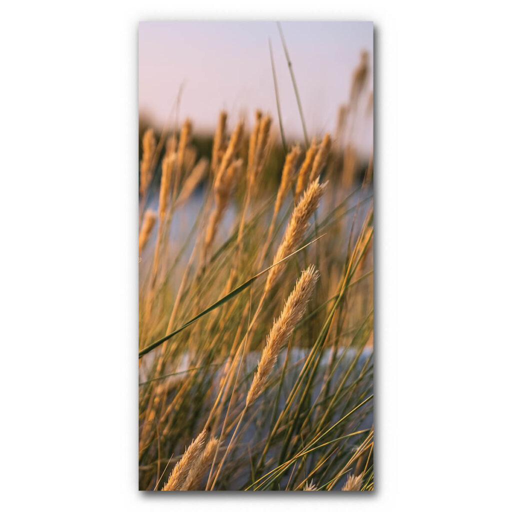 Akustikbild Gräser 3