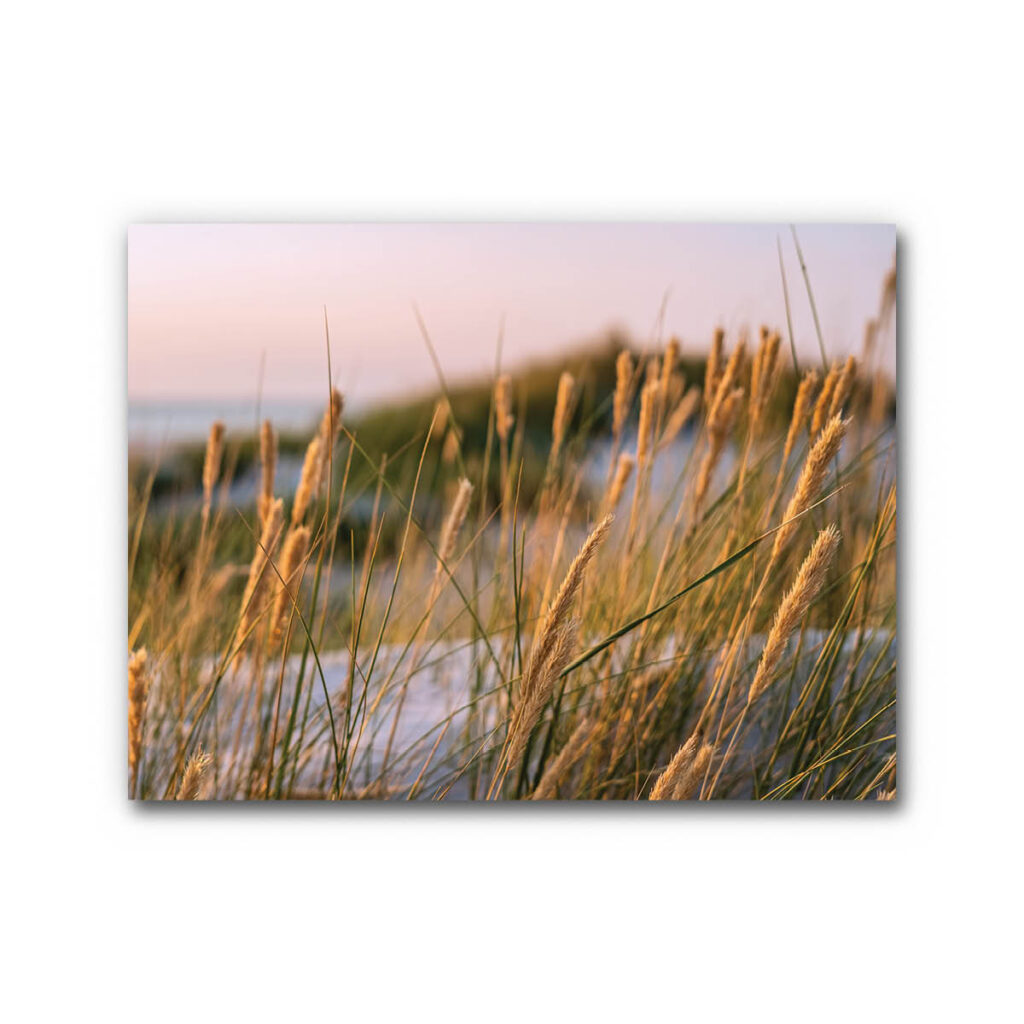 Akustikbild Gräser 3