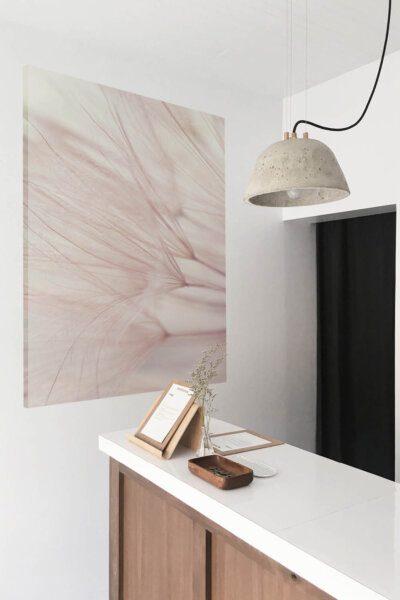 Akustikbild Dandelion Dreamer