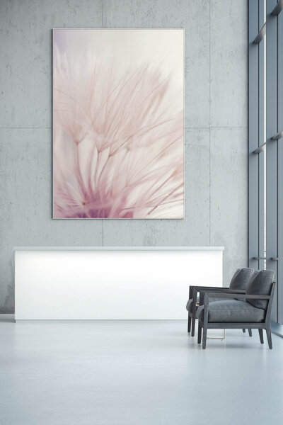 Akustikbild Dandelion Dreamer