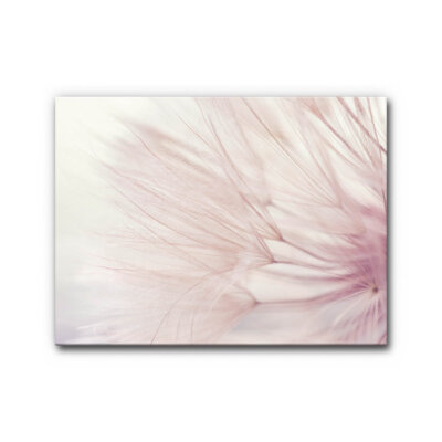 Textil Dandelion Dreamer, 100x80 cm, SensationSeide