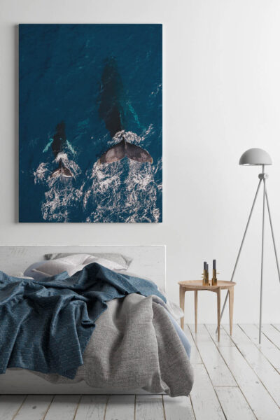 Akustikbild Wale – Bild 3
