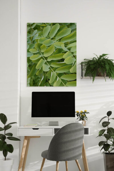 Akustikbild Blättertanz – Bild 3