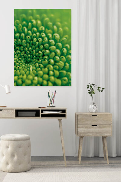 Akustikbild Chrysantheme – Bild 2