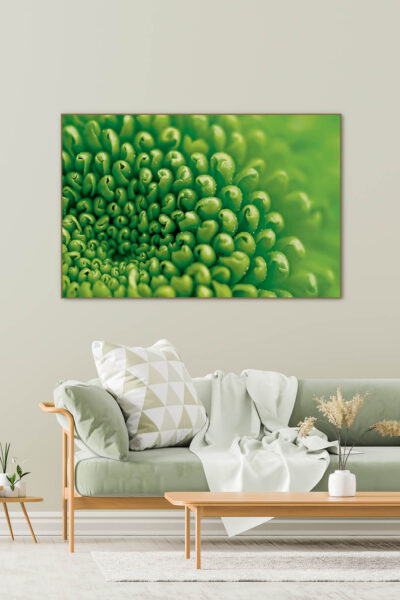 Akustikbild Chrysantheme – Bild 3