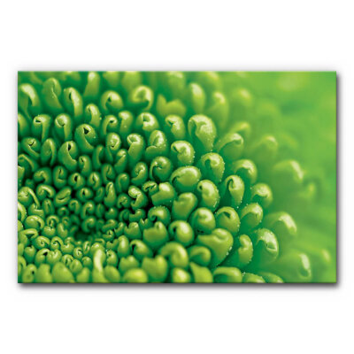Akustikbild Chrysantheme