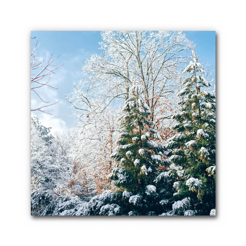 Akustikbild Winterwald 3