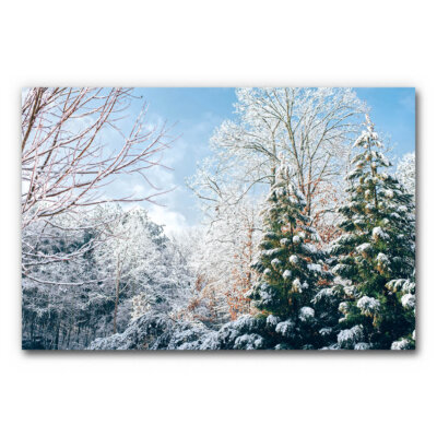 Akustikbild Winterwald 3