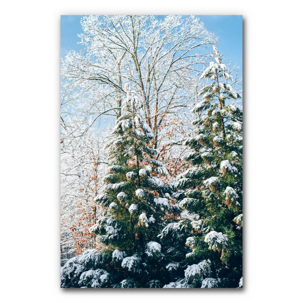 Akustikbild Winterwald 3