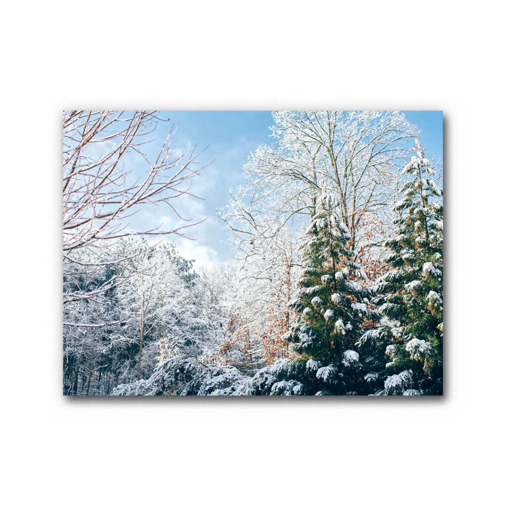 Akustikbild Winterwald 3