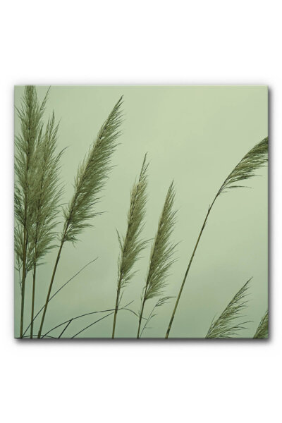 Akustikbild Schilf 2