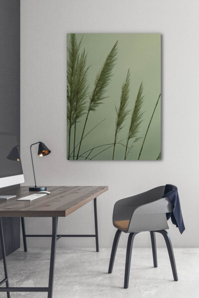 Akustikbild Schilf 2