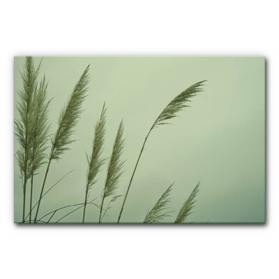 Akustikbild Schilf 2