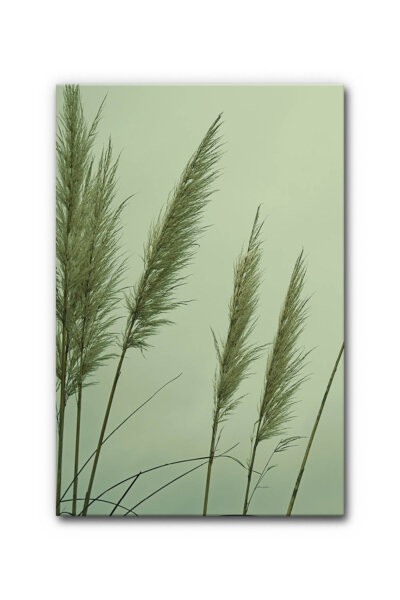 Akustikbild Schilf 2