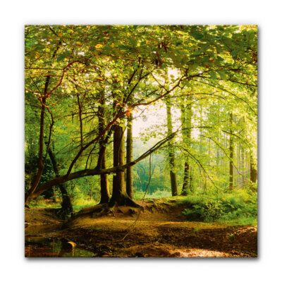 Akustikbild Wald 5 (auch als Panorama bis 400 cm)