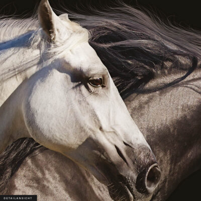 Akustikbild 3 Horses – Bild 2