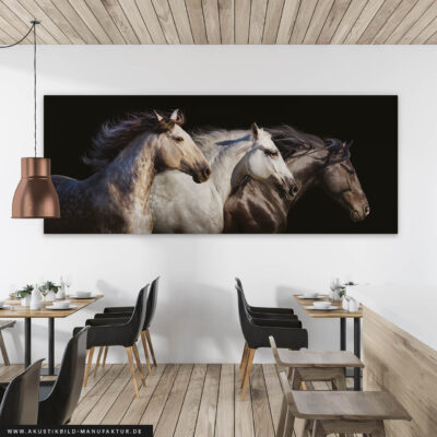 Akustikbild 3 Horses – Bild 3
