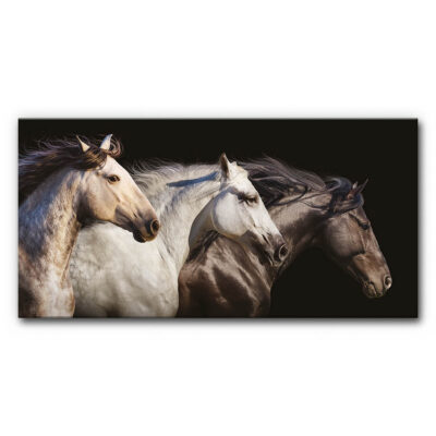 Akustikbild 3 Horses – als Panorama bis 230 cm