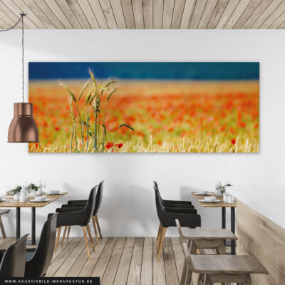 Akustikbild Kornfeld 2