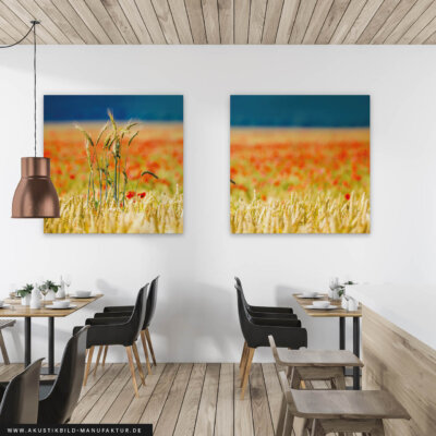 Akustikbild Kornfeld 2