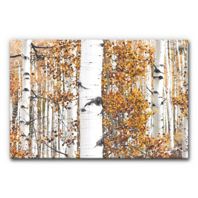 Akustikbild Goldener Birkenwald
