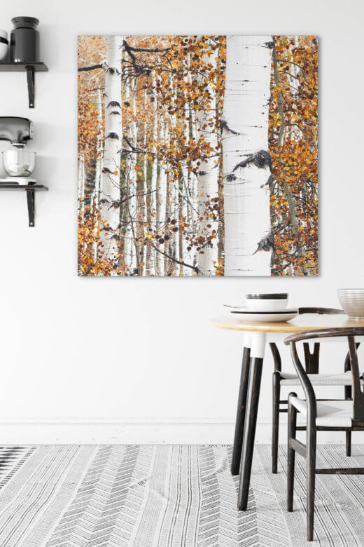 Textilwechselrahmen Akustikbild Goldener Birkenwald