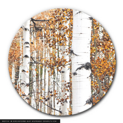 Akustikbild Goldener Birkenwald