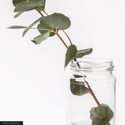 Akustikbild Kleiner Zweig – Bild 2