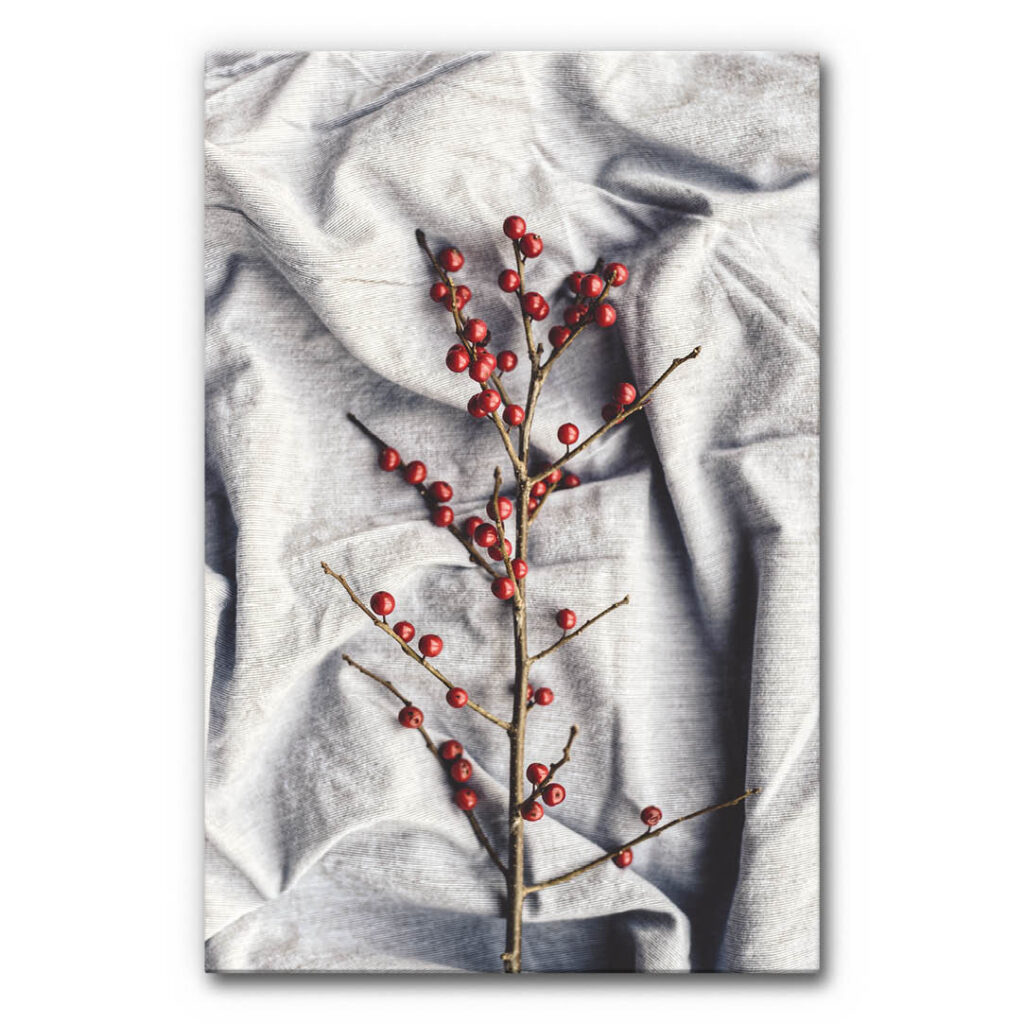 Akustikbild Christmas Dekor 4 - Ein leicht symmetrisches Bild eines vertikalen Weihnachtszweiges in der Mitte eines hell-grauen Tuchs.