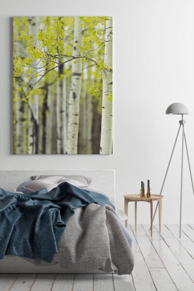 Akustikbild Birke IV