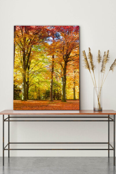 Akustikbild Herbstwald 4