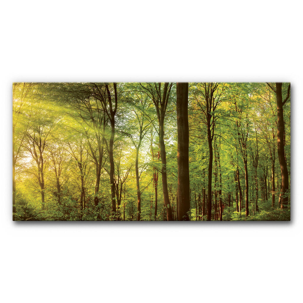 Akustikbild Wald 3
