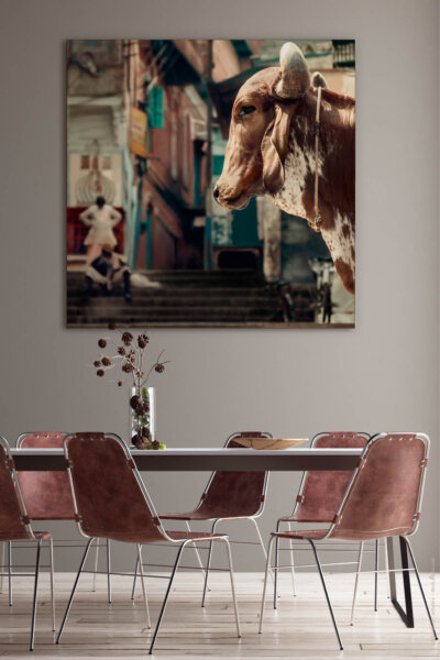 Akustikbild Holy Cow