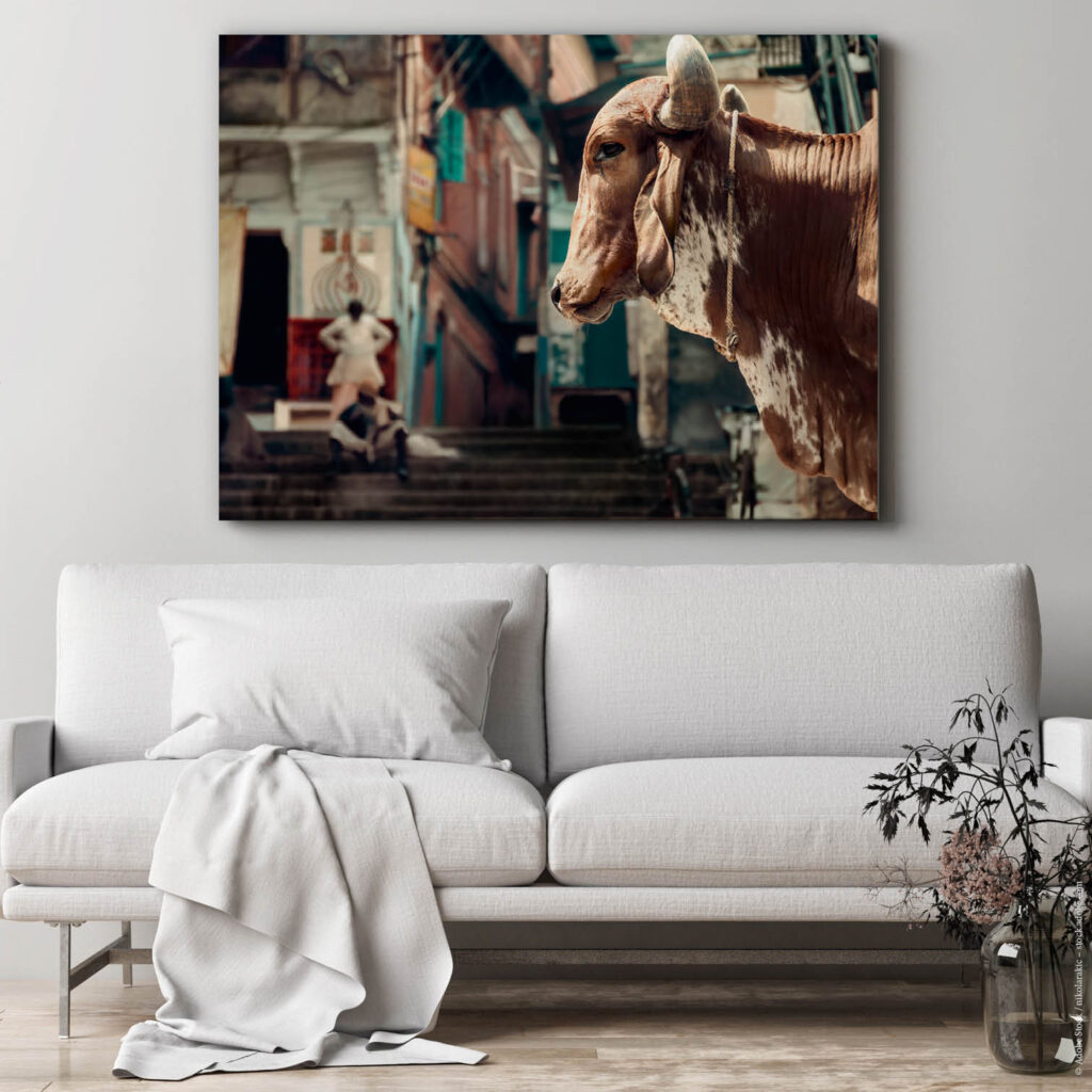 Akustikbild Holy Cow