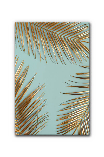 Tropical II