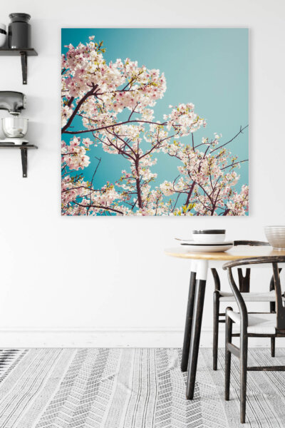 Akustikbild Kirschblüte 3
