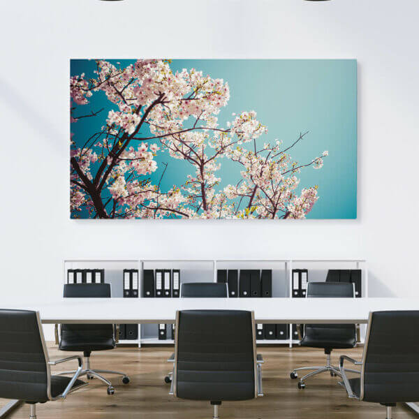 Schallabsorberbild Kirschblüte im Besprechungsraum