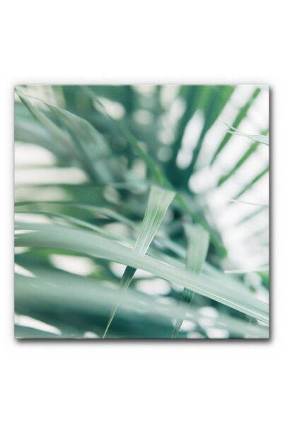 Akustikbild Tropical