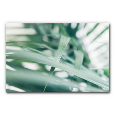 Akustikbild Tropical