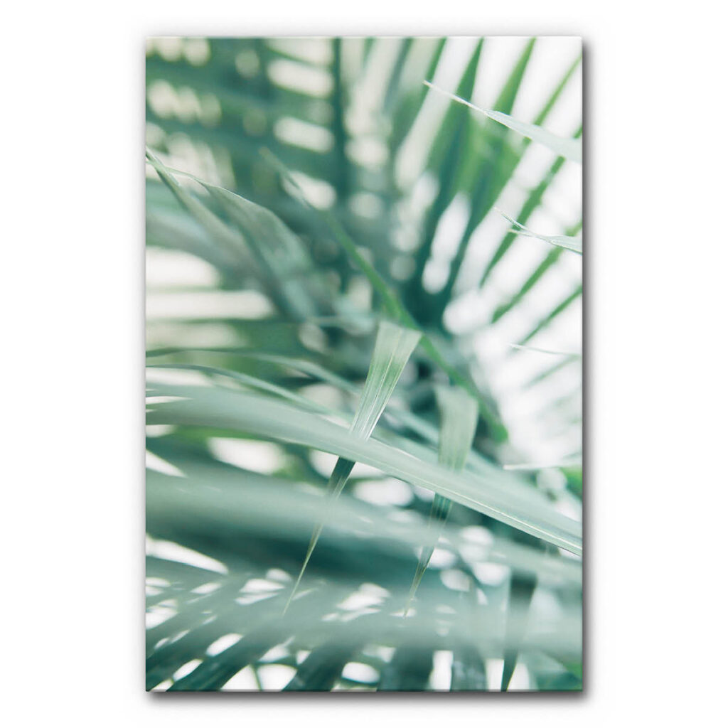 Akustikbild Tropical